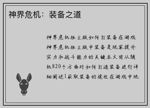 神界危机：装备之道
